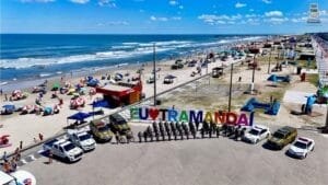 Operação Golfinho 2024/2025 é lançada na Capital das Praias! 