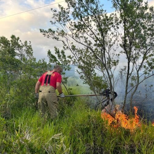 Incêndio em mata próximo à Vila Olímpica mobiliza Corpo de Bombeiros em Osório