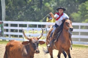 40º Rodeio Crioulo Nacional de Canela: Celebração da Tradição Gaúcha