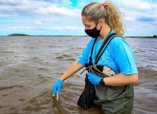 Mais de 90% das praias gaúchas estão aptas a receber banhistas, informa o boletim de balneabilidade