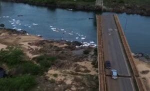 Contaminação da água dificulta busca pelos 16 desaparecidos após queda da ponte