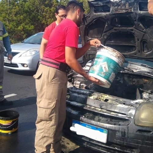 Carro pega fogo na ERS-389 e mobiliza bombeiros, populares e autoridades em Osório