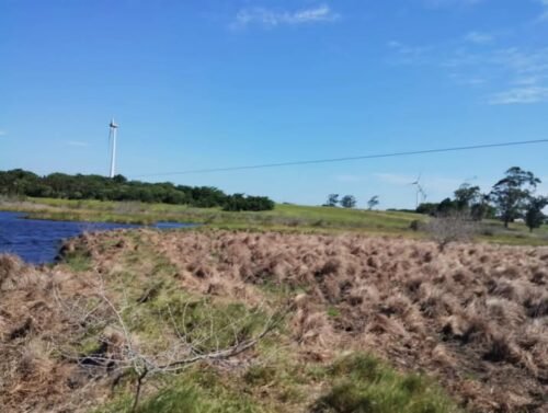 Homem morre eletrocutado em fazenda na comunidade de Passinhos, em Osório