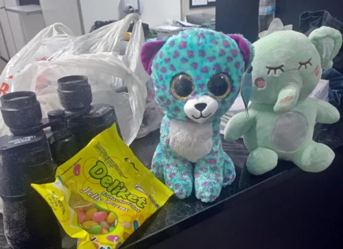 Guarda Municipal de Imbé prende homem nu que importunava sexualmente crianças em Mariluz