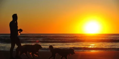 Segunda-feira será de sol e nuvens no RS