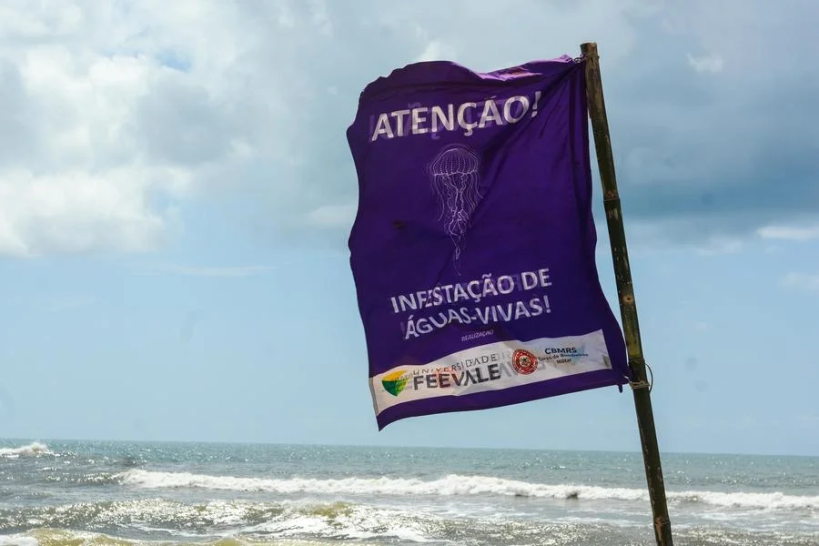 Praia de Xangri-Lá tem Maré Alta, Mar Limpo e Bandeira Amarela no Primeiro Domingo de 2025 2 ambiental3