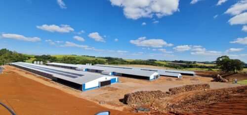 70% das granjas da Seara já utilizam Energia Solar