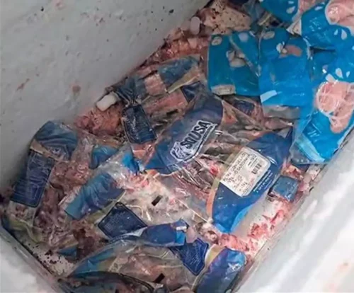 Carne podre de enchente foi comprada por menos de R$ 1 o quilo e revendida para consumo em todo o País