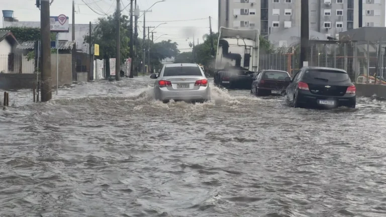 chuva2901