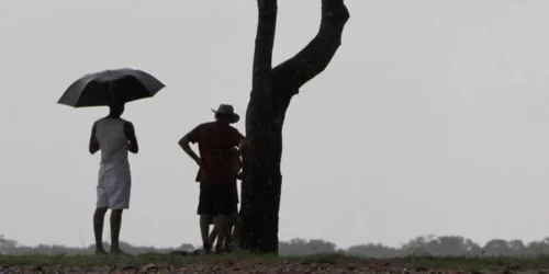 Sexta-feira terá chuva e temporais no RS
