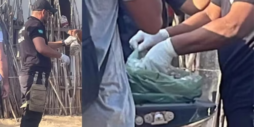 Adolescente morre e outras 8 pessoas da mesma família são hospitalizadas por suspeita de envenenamento no PI