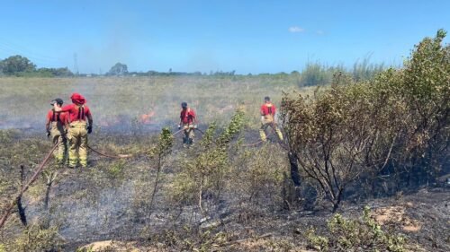 Incêndio atinge vegetação às margens da Estrada do Mar em Osório