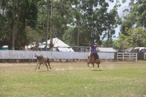 12º RODEIO DE PASSINHOS É PAUTA DE ENTRADA AO VIVO NA RBS TV