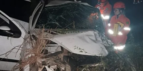 Homem e menina de 8 anos morrem em acidente em Viamão