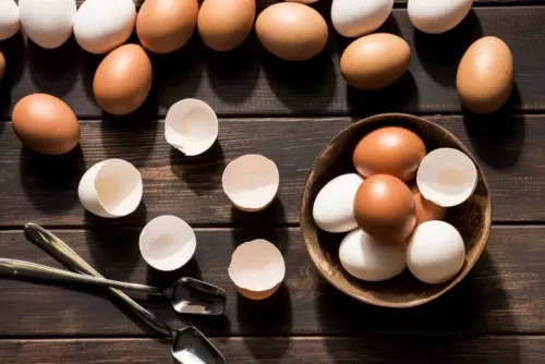 Governo determina que a partir de março os ovos vendidos sem rótulo deverão ter carimbo da data de validade na casca