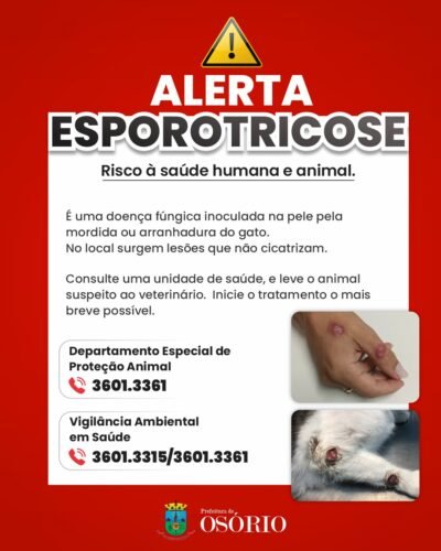 VIGILÂNCIA AMBIENTAL DE OSÓRIO ALERTA SOBRE A ESPOROTRICOSE QUE ATINGE GATOS E HUMANOS