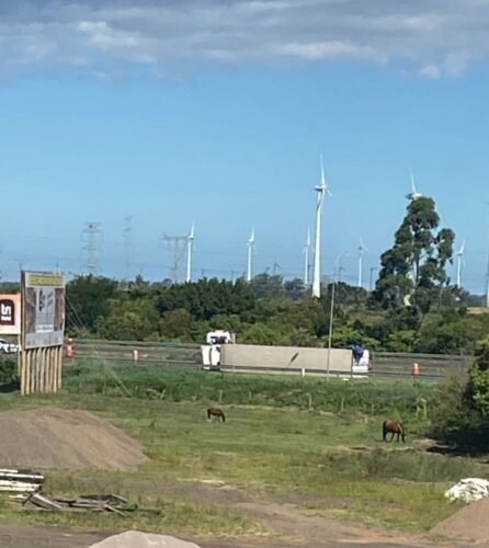 484810186 9086593458105634 352453211222426450 n