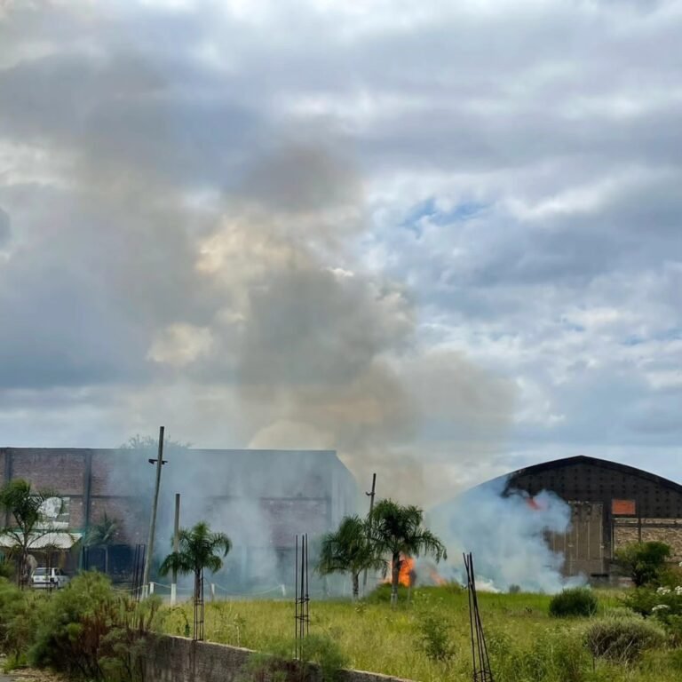 Incêndio em mata é controlado pelos bombeiros em Osório 8 484942264 9123738177724495 4740821314554495549 n