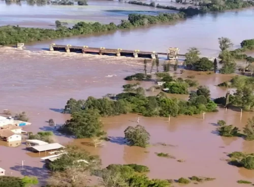 Governo gaúcho lança programa de recuperação da flora nativa atingida pelas enchentes