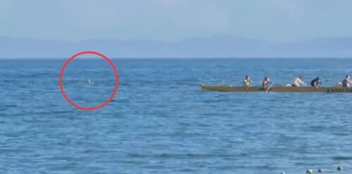 Homem joga carro no mar e nada por duas horas para fugir da polícia em SC