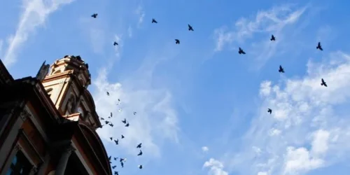 Com tempo firme e temperaturas amenas, RS terá Sábado Típico de Outono