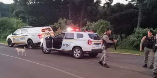 Enteado de homem esquartejado e mantido no freezer em Quintão é preso por BM na Serra gaúcha