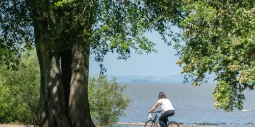 Domingo será de calor intenso e abafamento no RS