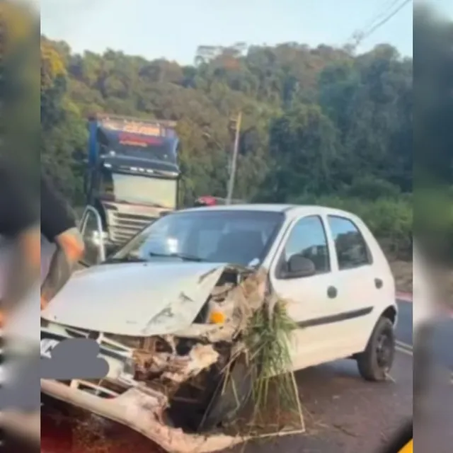 Ônibus da banda Rainha Musical se envolve em acidente no oeste catarinense 2 snapinst 1 2