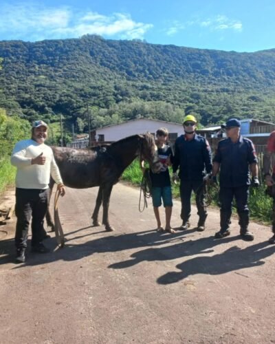 Cavalo atolado em valo é resgatado em operação que mobilizou bombeiros e vereador em Osório 2 491403914 9251603151604663 3739235095745942056 n