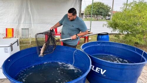 INICIA A FEIRA DO PEIXE EM OSÓRIO