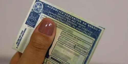 Projeto prevê cassação de CNH para motorista que abandonar animal na rua