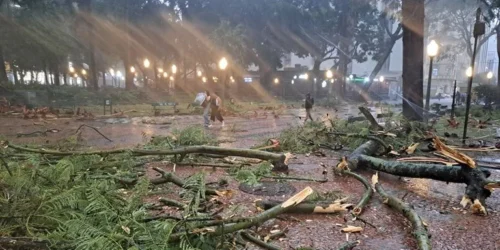 Situação de emergência, aulas da rede municipal e abastecimento de água: Desdobramentos do temporal em Porto Alegre
