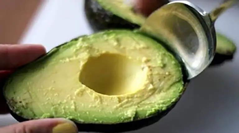Vecê sabe Qual é o sabor dos abacates? 9 Qual é o sabor dos abacates?