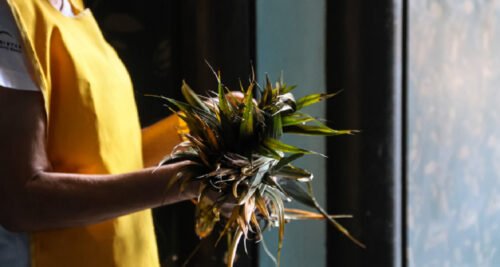 Domingo de Ramos: Entenda o significado da data, que marca o início da Semana Santa