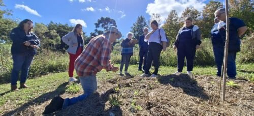 SECRETARIA DE AGRICULTURA, PECUÁRIA E PESCA, JUNTAMENTE COM EMATER E ASSOCIAÇÃO OSÓRIO RURAL REALIZAM DIA DE CAMPO E ROTEIRO DE TURISMO RURAL