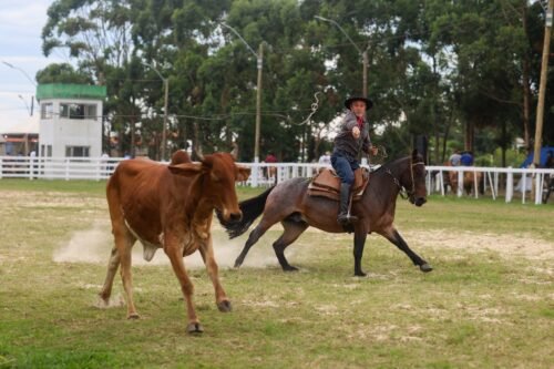 PRIMEIRO DIA DO XVIII RODEIO CRIOULO INTERNACIONAL DE IMBÉ REÚNE AMANTES DO TRADICIONALISMO