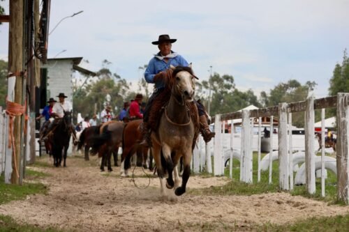 PRIMEIRO DIA DO XVIII RODEIO CRIOULO INTERNACIONAL DE IMBÉ REÚNE AMANTES DO TRADICIONALISMO 8 495587886 712837897971021 3457216378722514903 n