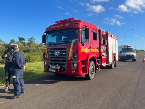 Homem morre após ataque de abelhas na Freeway, em Osório