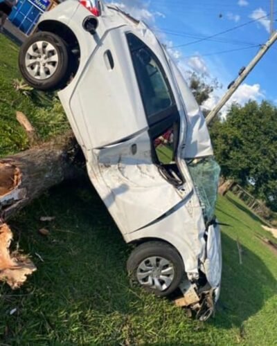 Condutor perde controle e colide com árvore na BR-101 em Osório