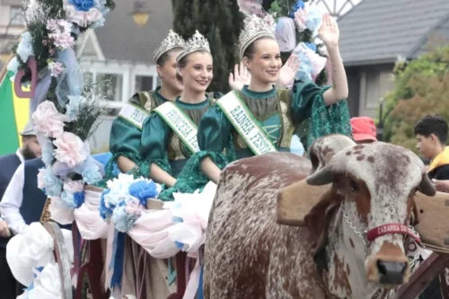 Desfile da Festa da Colônia reúne 35 carretas puxadas por bois neste sábado, em Gramado
