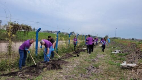 Voluntariado da Corsan amplia área verde de estação no Litoral com o plantio de 100 mudas de bambu