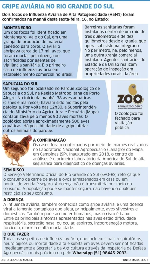 Rio Grande do Sul se mobiliza para combater foco de gripe aviária 1 Gripe aviaria 2