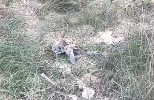 Ossada humana foi localizada entre as dunas na faixa de beira-mar que liga os municípios de Tramandaí e Cidreira