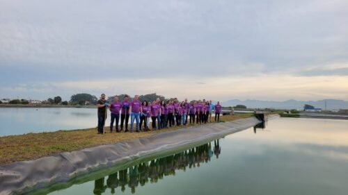 Voluntariado da Corsan amplia área verde de estação no Litoral com o plantio de 100 mudas de bambu 1 fea32b40 da46 47fc a57a f69173b7fc77