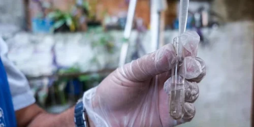 Rio Grande do Sul registra mais três mortes por dengue e chega a 16 no ano