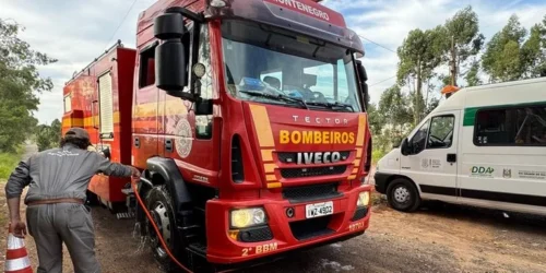 Ação contra gripe aviária atinge 12 municípios gaúchos