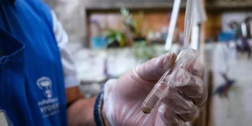 Porto Alegre tem mais de 8 mil casos confirmados de dengue em 2025