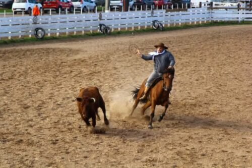 Semana Farroupilha 2025 está confirmada em Osório com Atrações Campeiras e Shows