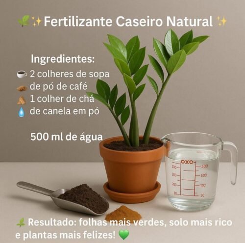 Fertilizante Caseiro Natural