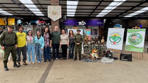 SEMANA MUNICIPAL DE MEIO AMBIENTE MOVIMENTA AS ESCOLAS E INSTITUIÇÕES DE OSÓRIO PARA TEMAS DE EDUCAÇÃO AMBIENTAL